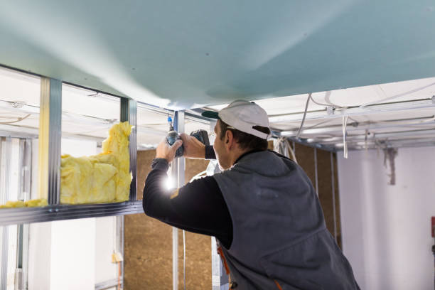Best Blown-in Insulation in Azalea Park, FL