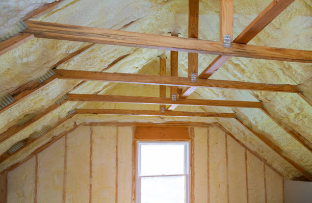 Best Residential Insulation in Azalea Park, FL