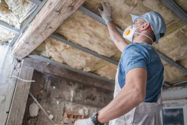 Best Spray Foam Insulation in Azalea Park, FL