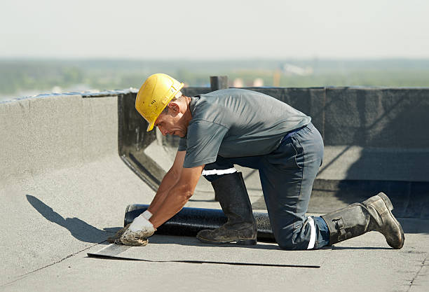 Best Fiberglass Insulation in Azalea Park, FL