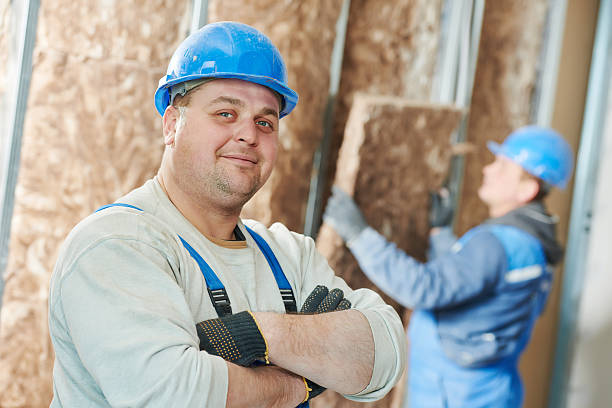 Best Energy Efficiency Insulation in Azalea Park, FL