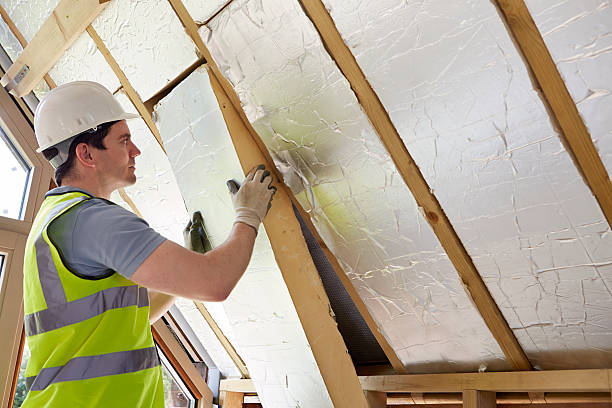 Best Cellulose Insulation in Azalea Park, FL